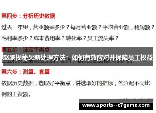 赵鹏揭秘欠薪处理方法：如何有效应对并保障员工权益